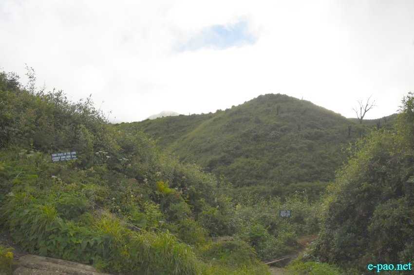 Trekking to Dzukou Valley in Senapati district, Manipur :: 25th to 27th August 2018
