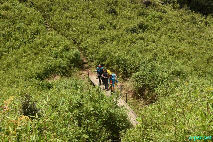 Trekking to Dzukou Valley in Senapati district, Manipur :: 25th to 27th August 2018