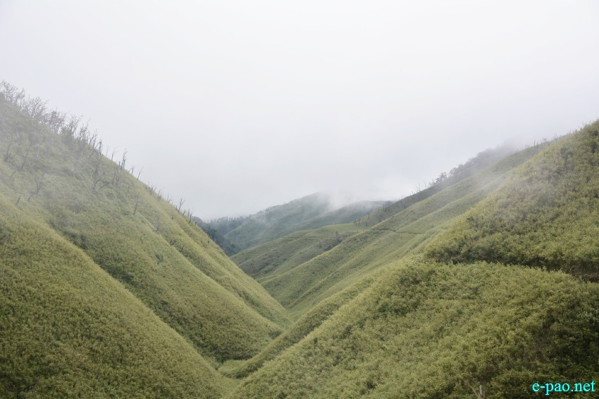 Beautiful Landscape of Dzukou Valley in Senapati district, Manipur :: First Week of July 2019