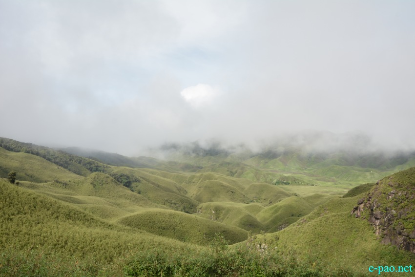 Beautiful Landscape of Dzukou Valley in Senapati district, Manipur :: First Week of July 2019