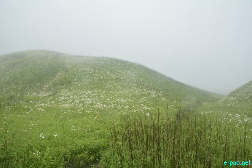 Beautiful Landscape of Dzukou Valley in Senapati district, Manipur :: First Week of July 2019