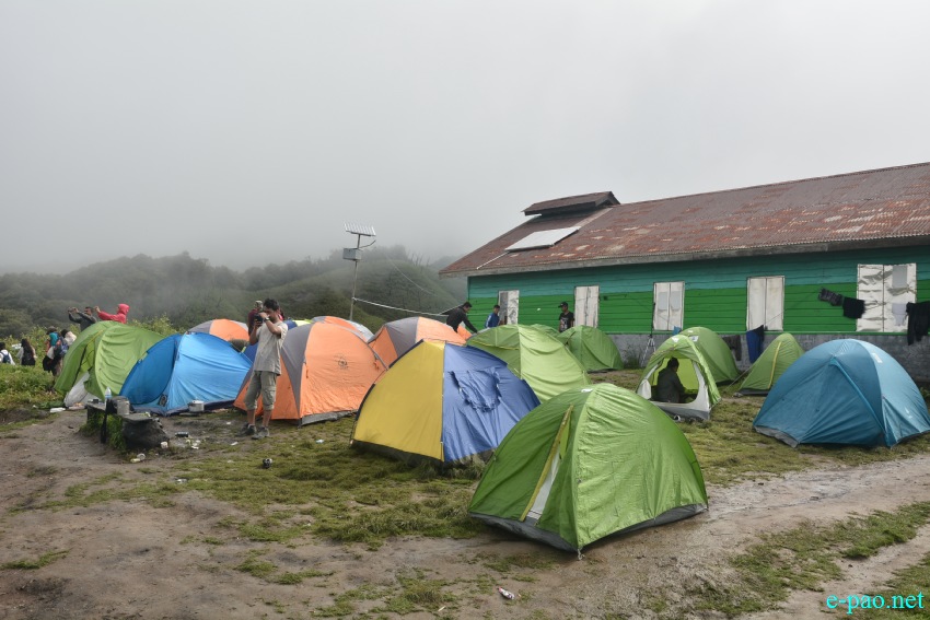 Trekking to Dzukou Valley in Senapati district, Manipur :: First Week of July 2019