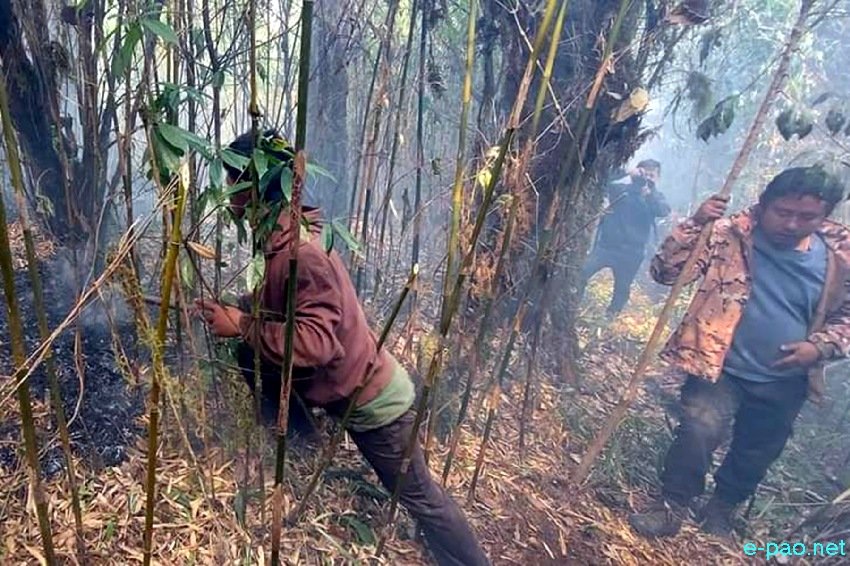 Forest fire at Shirui peak in Ukhrul district, Manipur :: March 29 2021