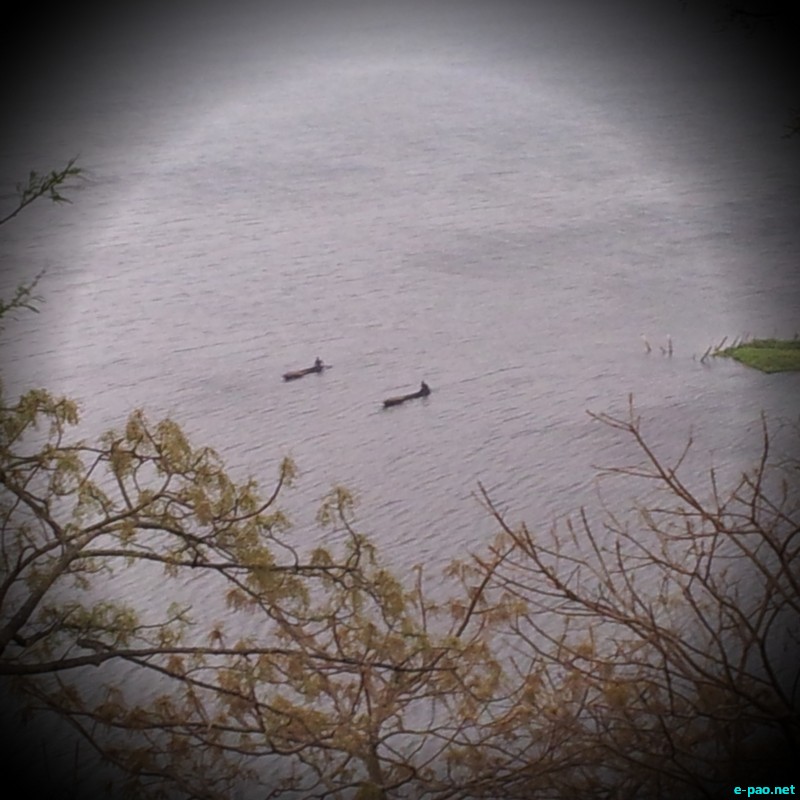 Loktak lake (Different renditions) :: 2013
