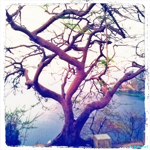 Loktak lake (Different renditions) :: 2013