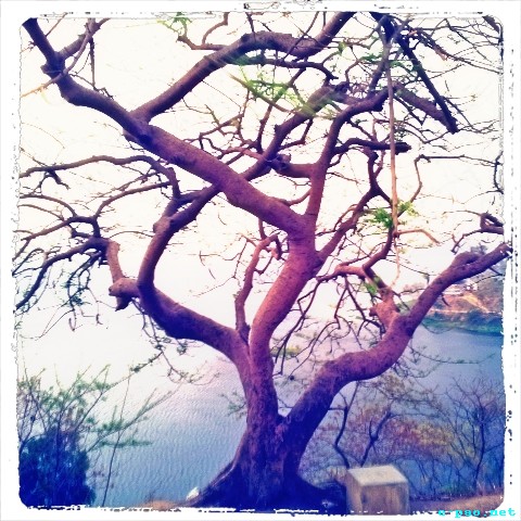 Loktak lake (Different renditions) :: 2013