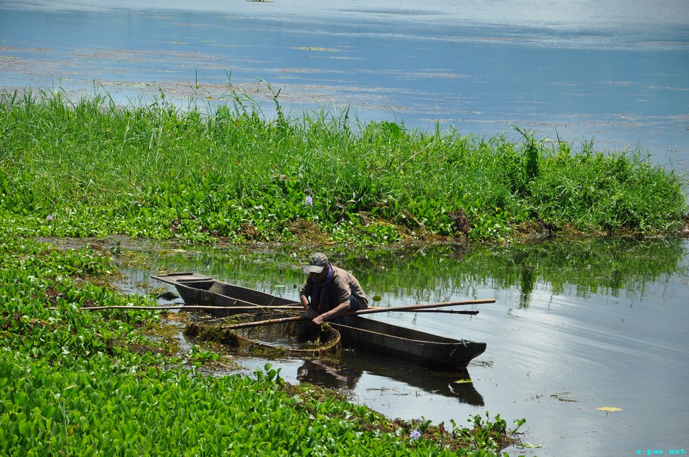 Loktak Lake - Largest Fresh Water Lake in North East India :: First Week of June 2013