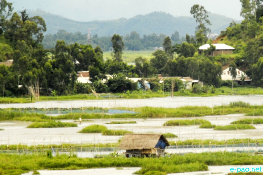 The splendour of Loktak Lake (largest Freshwater in North east India) during Summer time of 2013