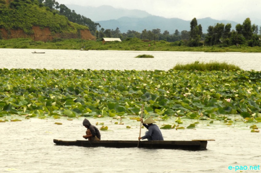 The splendour of Loktak Lake (largest Freshwater in North east India) during Summer time of 2013