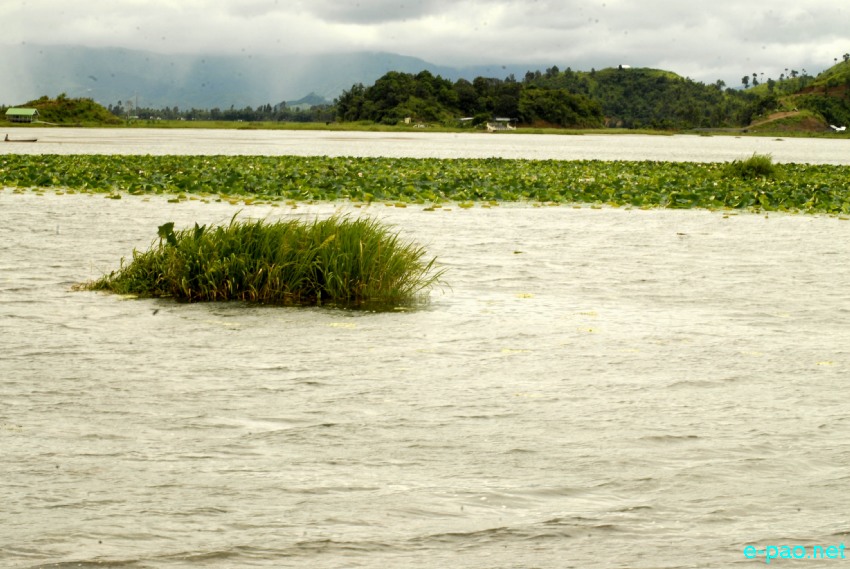 The splendour of Loktak Lake (largest Freshwater in North east India) during Summer time of 2013