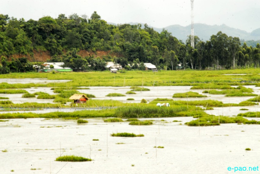 The splendour of Loktak Lake (largest Freshwater in North east India) during Summer time of 2013