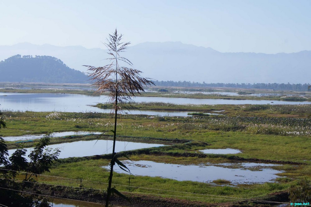 Pumlen Lake, a historic lake of Manipur in Thoubal District :: December 2013