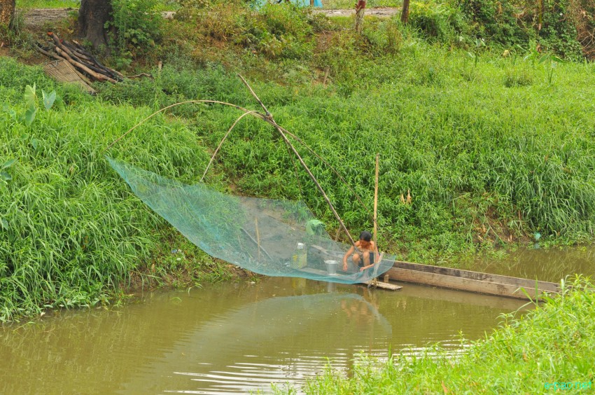 Waterways at Khodrak in Bishnupur district of Manipur :: May 2014