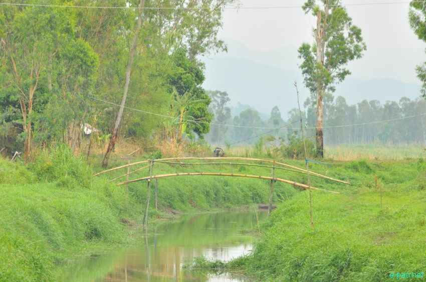 Waterways at Khodrak in Bishnupur district of Manipur :: May 2014