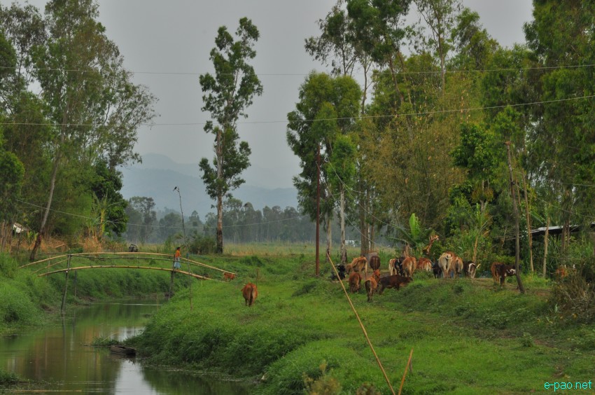 Waterways at Khodrak in Bishnupur district of Manipur :: May 2014