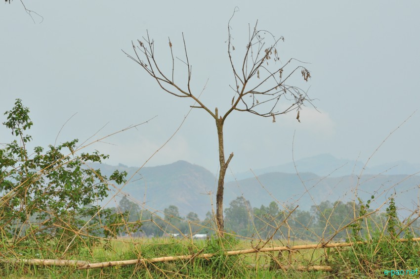 Waterways at Khodrak in Bishnupur district of Manipur :: May 2014