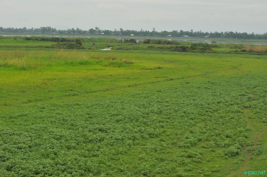 Waterways at Khodrak in Bishnupur district of Manipur :: May 2014