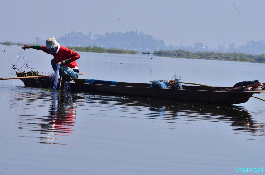 Fishermen fishing at Loktak lake  :: February 02 2015