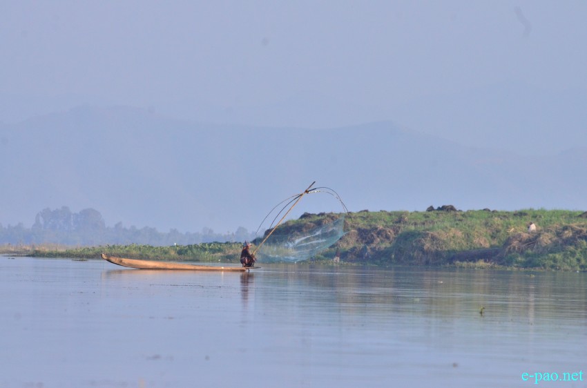 Fishermen fishing at Loktak lake  :: February 02 2015