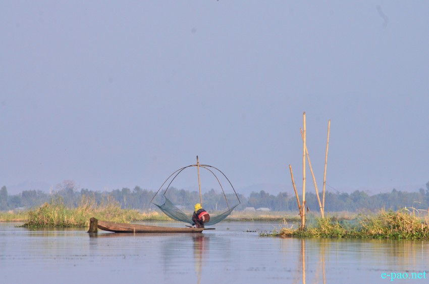 Fishermen fishing at Loktak lake  :: February 02 2015