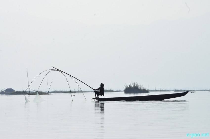 Fishermen fishing at Loktak lake  :: February 02 2015