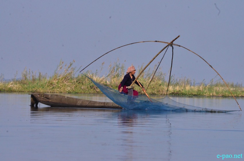Fishermen fishing at Loktak lake  :: February 02 2015