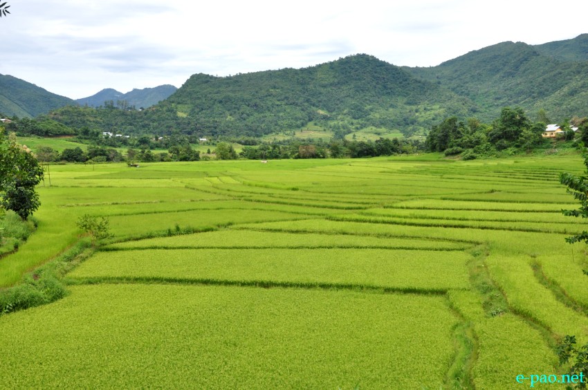 Landscape photo on the road to Kamjong, Ukhrul District :: Last week of September 2013