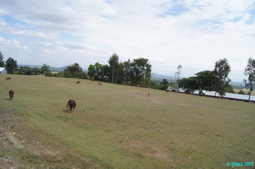 Bungte Chiru village situated at western side of Keinou village on Imphal Churachandpur road :: November 2014