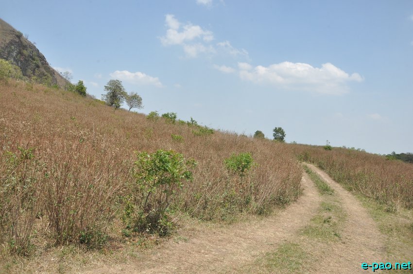 Pathetic road condition of Tongjei Maril also known as Old Cachar Road as seen in the third week of April 2014