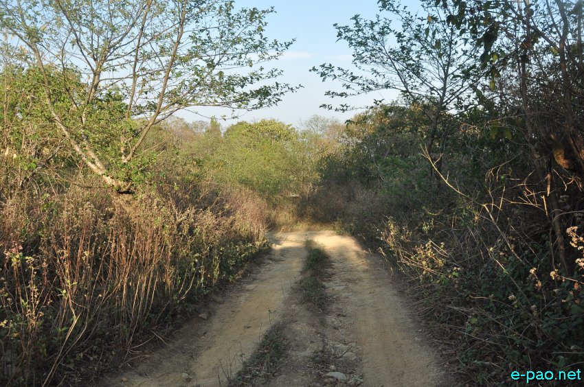 Pathetic road condition of Tongjei Maril also known as Old Cachar Road as seen in the third week of April 2014