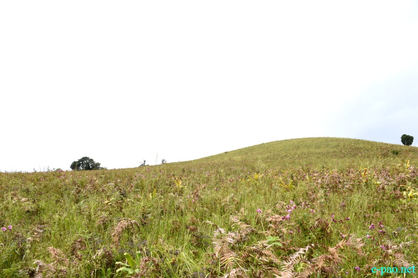 Buning Meadow  / Piulong Valley in Tamenglong District :: 11th November 2019