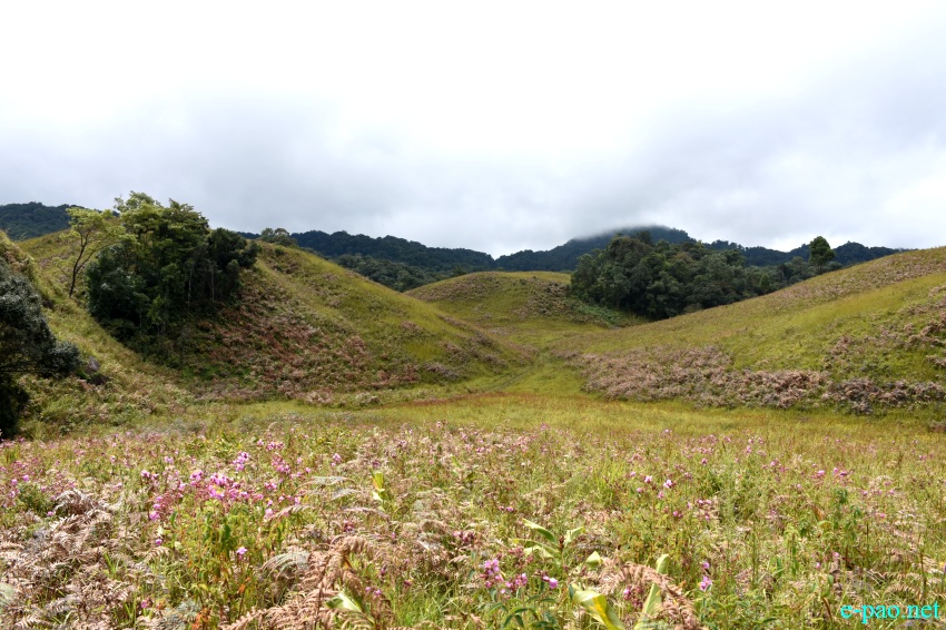 Buning Meadow  / Piulong Valley in Tamenglong District :: 11th November 2019