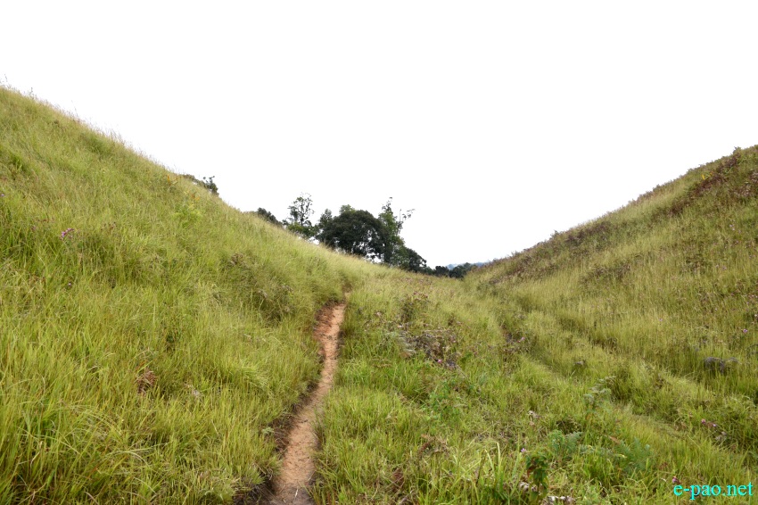 Buning Meadow  / Piulong Valley in Tamenglong District :: 11th November 2019
