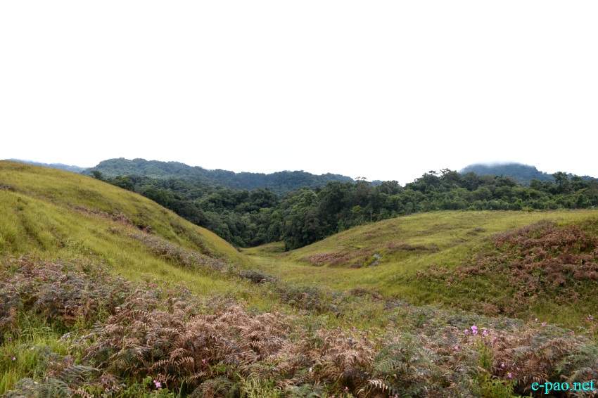 Buning Meadow  / Piulong Valley in Tamenglong District :: 11th November 2019