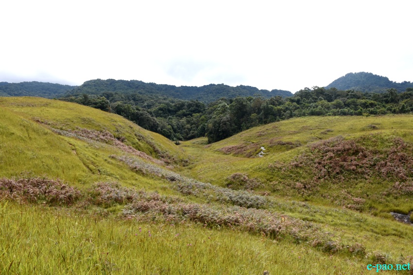 Buning Meadow  / Piulong Valley in Tamenglong District :: 11th November 2019