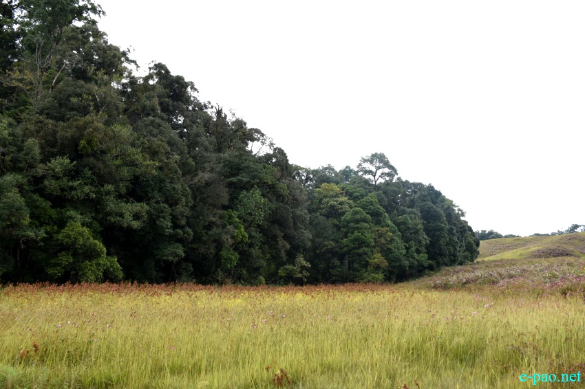 Buning Meadow  / Piulong Valley in Tamenglong District :: 11th November 2019