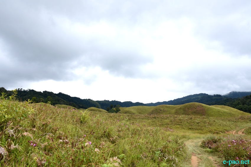 Buning Meadow  / Piulong Valley in Tamenglong District :: 11th November 2019