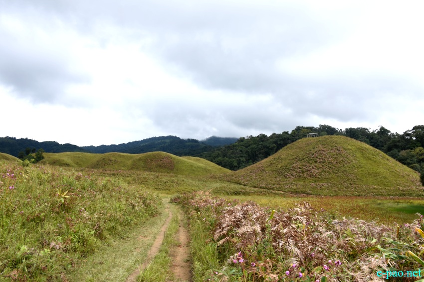 Buning Meadow  / Piulong Valley in Tamenglong District :: 11th November 2019