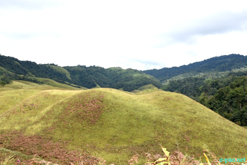 Buning Meadow  / Piulong Valley in Tamenglong District :: 11th November 2019