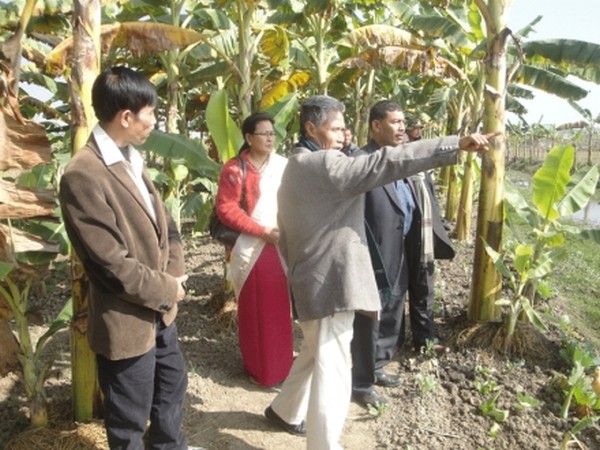 Visitors taking a tour of the farm of KM Blooming School