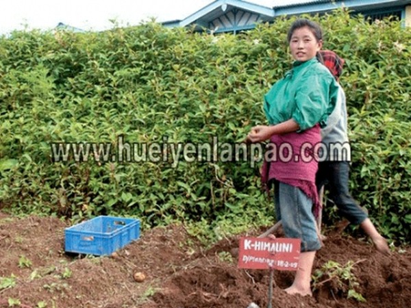  Two girls are all smile while harvesting potatoes from the farm