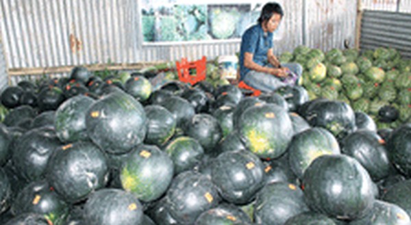 Water melon stall at the festival