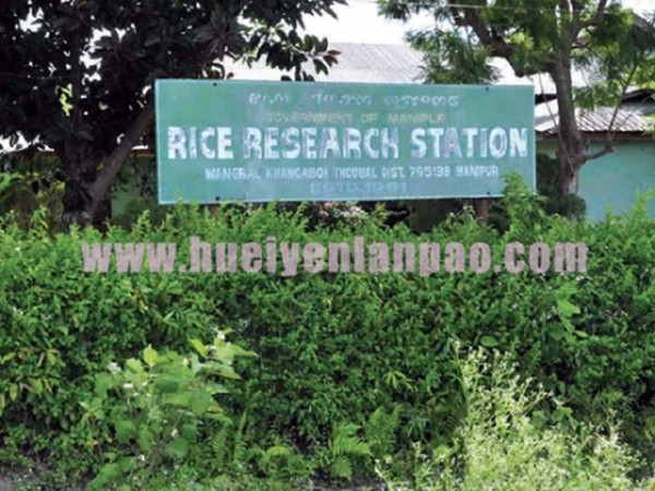 Wangbal Rice Research Station on the verge of extinction