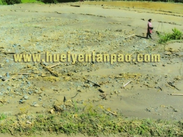 Heavy rain destroys paddy fields in southern Ukhrul