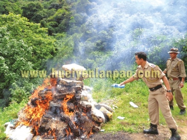 Seized Ganja worth Rs 32 lakh disposed off by burning