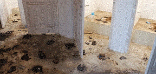 Human excreta litter the tiled floor near the toilets at ISBT