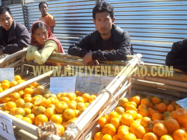 Kaichui, a farmer from Phellong, showing his oranges
