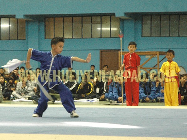 Wushu Championships
