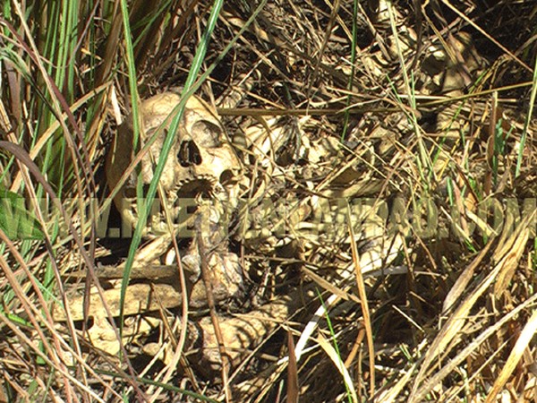 Human skeleton found