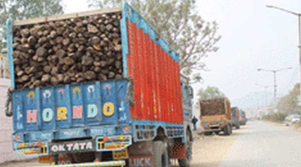 Trucks filled with firewood